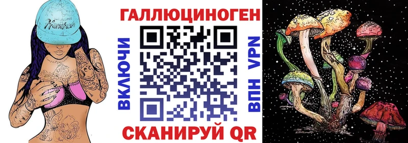 купить наркоту Кингисепп Псилоцибиновые грибы мицелий